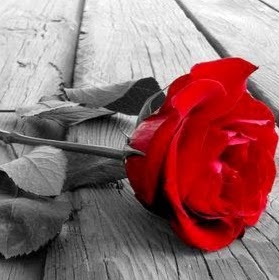 Sylvia Engel Photo 20