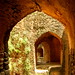 Harish Chandra Photo 16