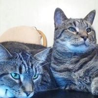 Karen Vincent Photo 27