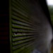 John Wissler Photo 14