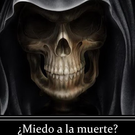 Ronald Ortiz Photo 25