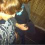 Michael Bridges Photo 15