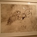 John Olsen Photo 38