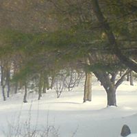 Julie Barney Photo 7