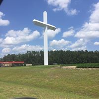 Lorri Harper Photo 4