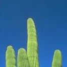 Edgardo Portillo Photo 18