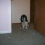 Susan Vann Photo 6