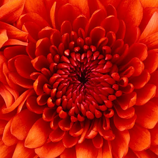 Linda Cochran Photo 24