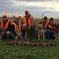 Craig Paulson Photo 8