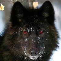 Larry Spencer Photo 20