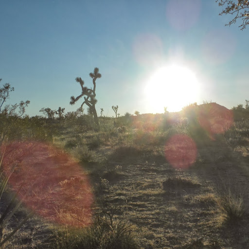 Megan Mccready Photo 5