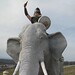 Mark Cline Photo 23