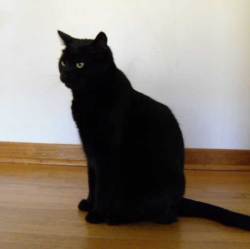 Susan Hoffman Photo 28 Susan Hoffman Photo 28