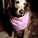 Tammy Weeks Photo 22