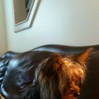 Jeffrey Snyder Photo 35