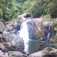 Cathy Dillon Photo 38