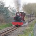 Timothy Buxton Photo 20