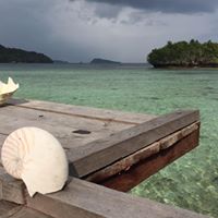 Julia Malcolm Photo 12