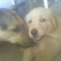 Tricia Eddy Photo 8