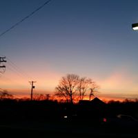 Steven Rash Photo 16