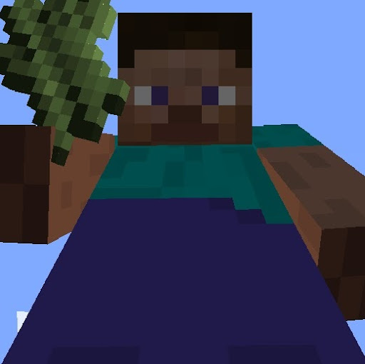 Steve Craft Photo 38