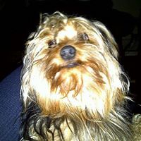 Robert Claflin Photo 13