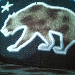 Darrell Roberson Photo 30