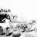 Barbara White Photo 52