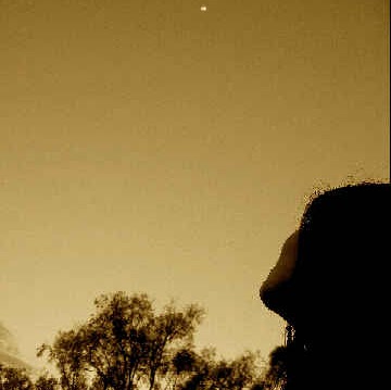 Kristin Ling Photo 7