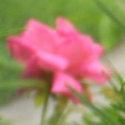 Jennifer Mcguire Photo 26