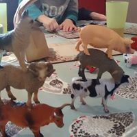 Kathleen Edmonds Photo 7