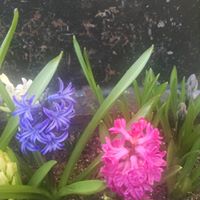 Becky Monroe Photo 37