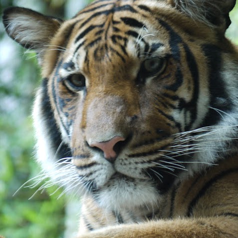 Judy Sparkman Photo 13