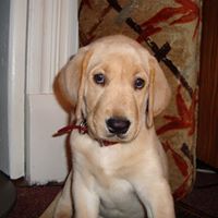 Sandy Stover Photo 9