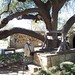Connie Wells Photo 37