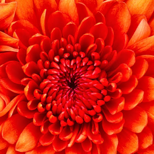 Erika Robbins Photo 3