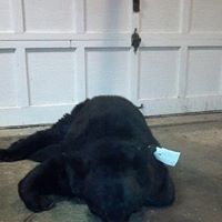 Michael Schutz Photo 24