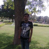 Dhaval Patel Photo 27