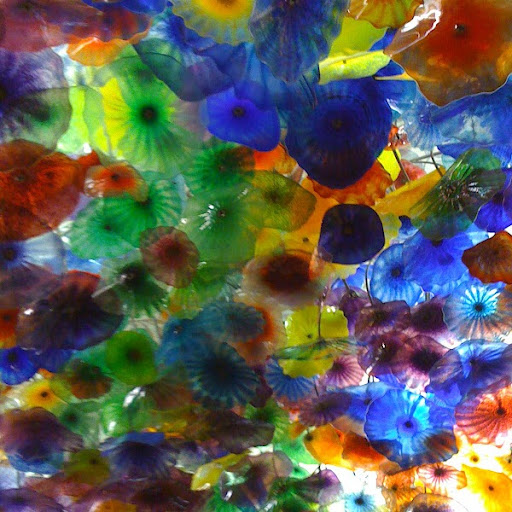 Ann Hastings Photo 11