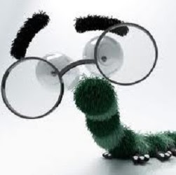 Luis Portillo Photo 17