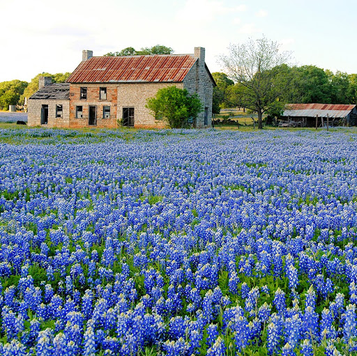 Julie Watson Photo 10