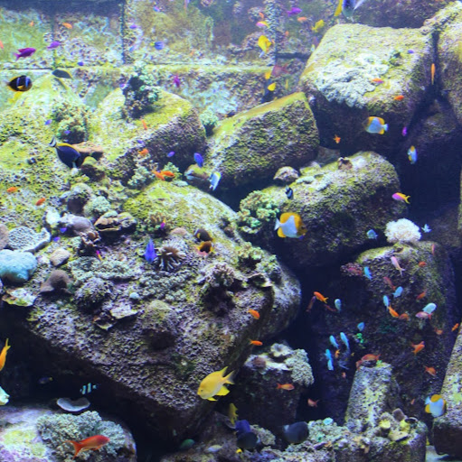 Julia Schmitz Photo 25