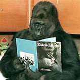 Randall Peck Photo 8