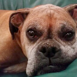 Donnie Martin Photo 28