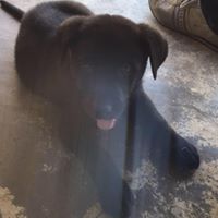 Raymond Wesley Photo 26