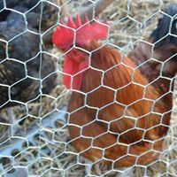 Stacey Detwiler Photo 3