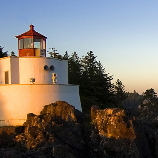 Walter Anderson Photo 17