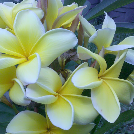 Judy Garrison Photo 18