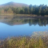 Linda Dunlap Photo 21