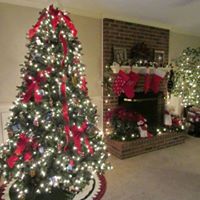 Angela Stuart Photo 4